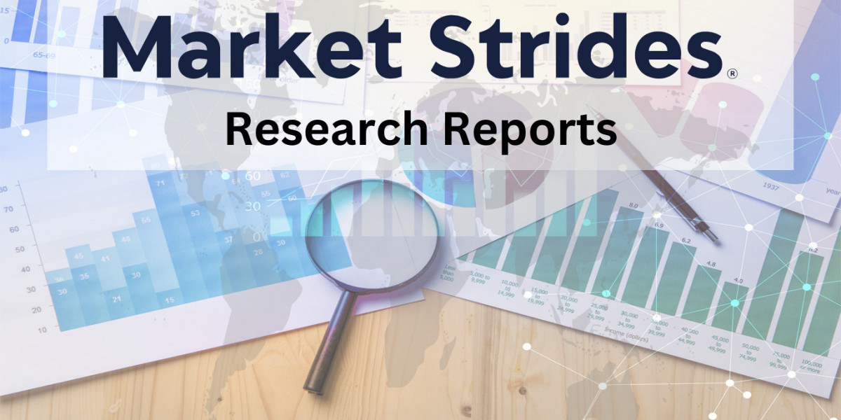 Leadless Pacemakers Market Insights and Forecast 2025-2033: Key Drivers and Trends