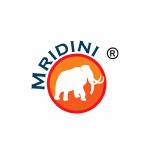 Mridini Castings Profile Picture