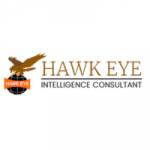 Hawk Eye Security  Detective Profile Picture