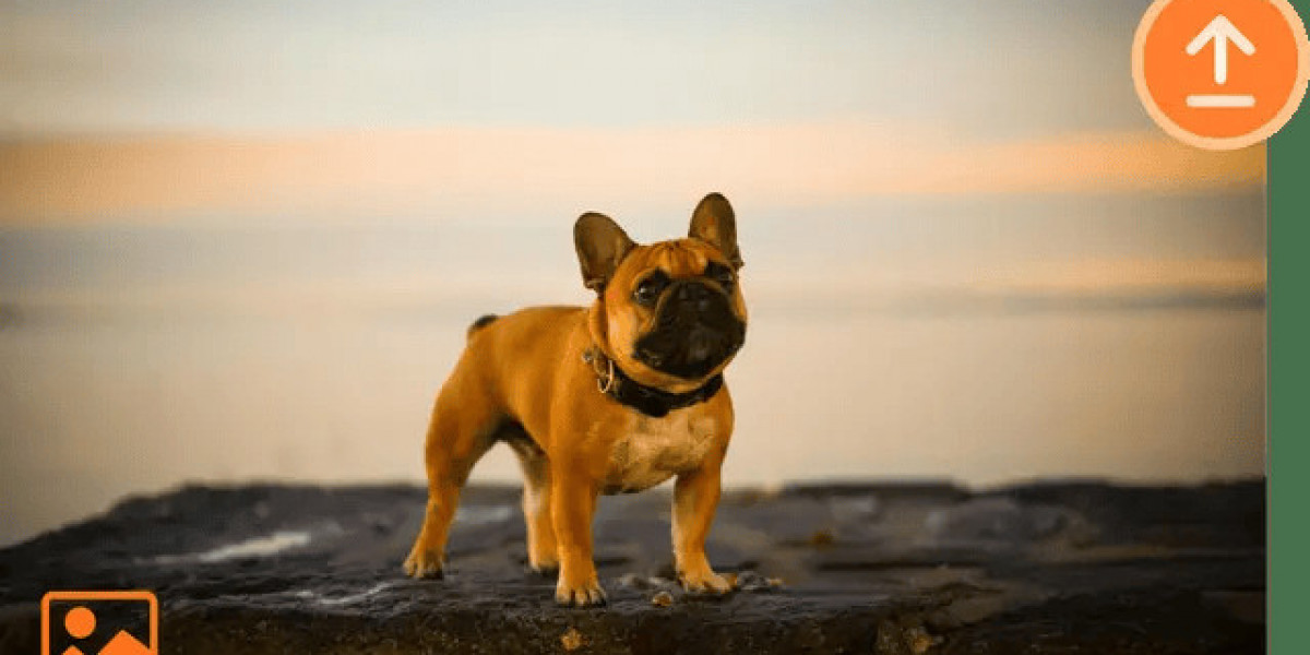 Effortless Way to Remove BG from Any Image
