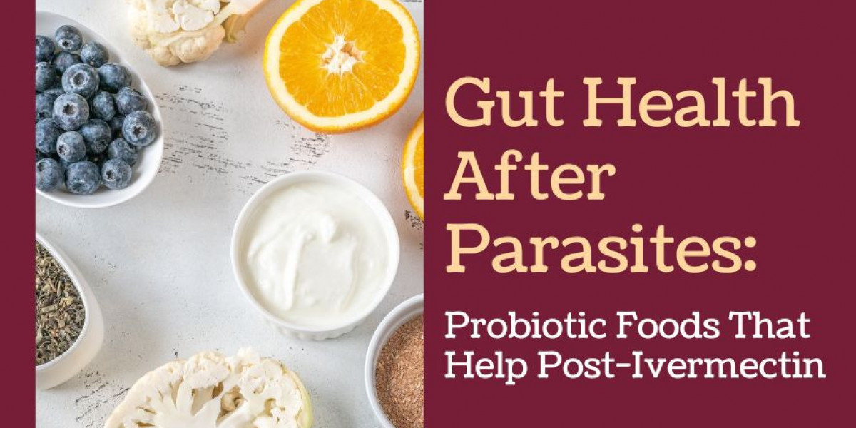 Gut Health After Parasites: Probiotic Foods That Help Post-Ivermectin