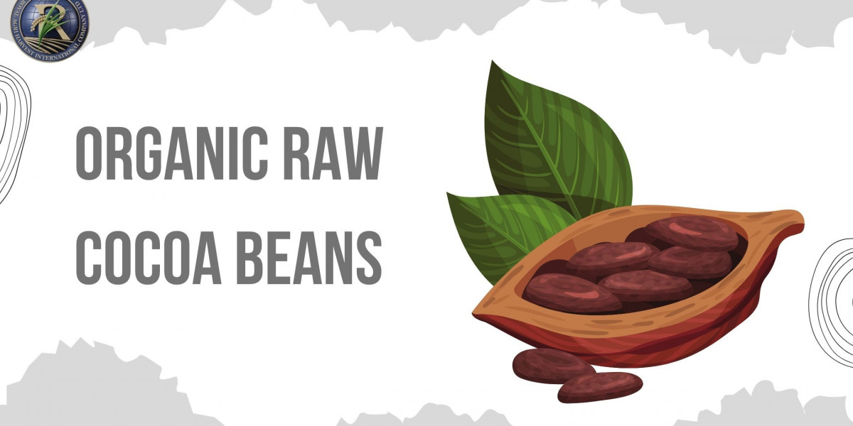 Why Organic Raw Cocoa Beans Are Gaining Global Popularity