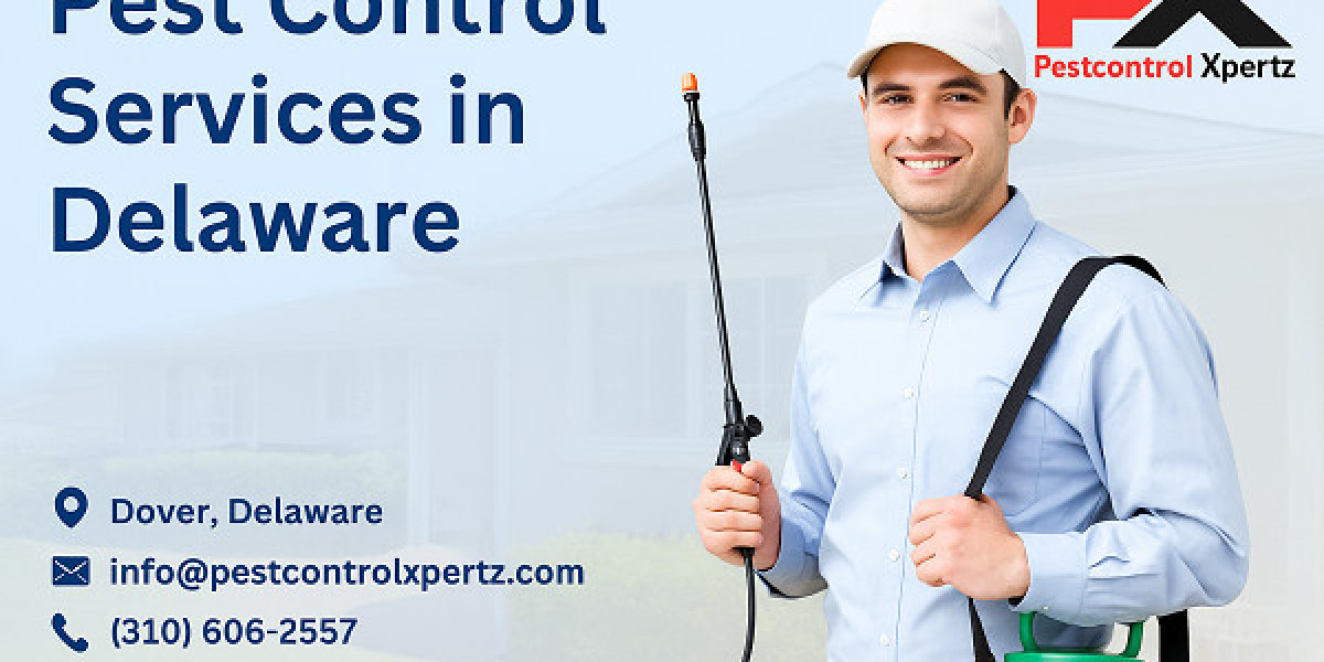 Ant Pest Control in Bear, Delaware: Stop Infestations Before They Spread