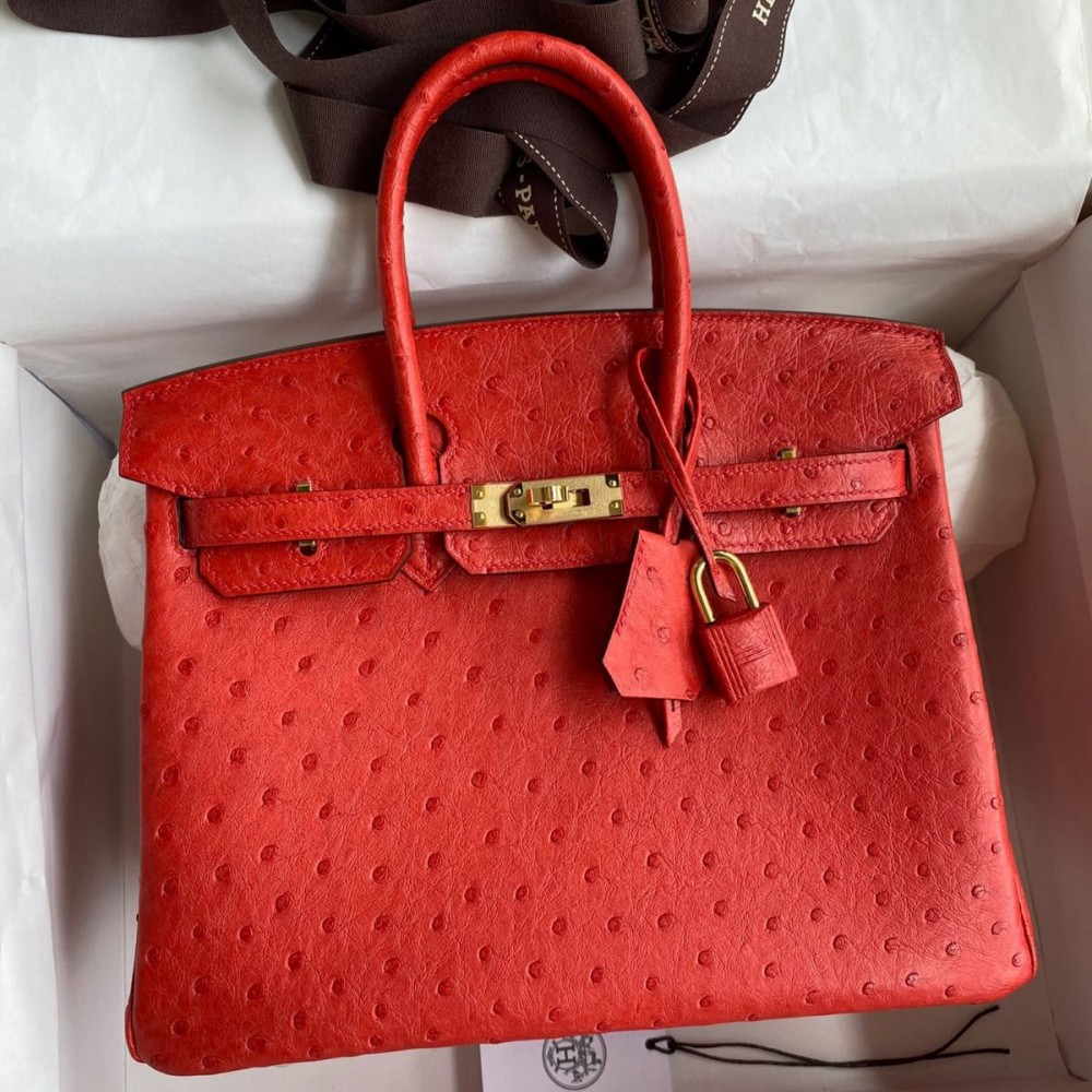 High Quality Replica Hermes Birkin 25 Retourne Handmade Bag In Red Ostrich Leather $ 2789 USD