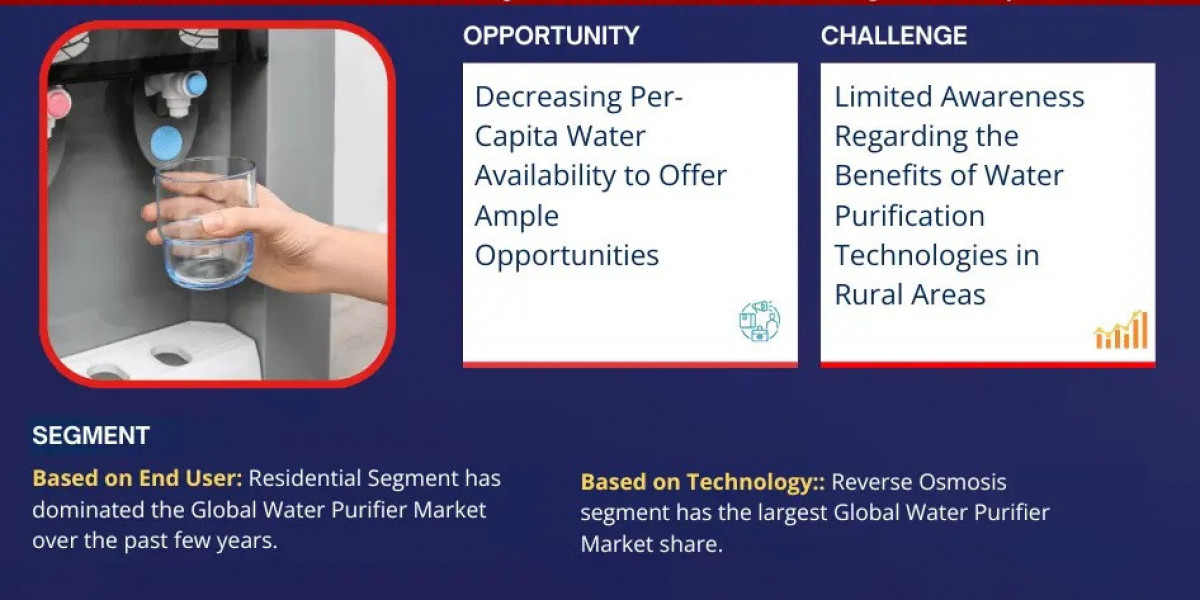Water Purifiers Market Analysis 2024–2030: Size, Share & Future Outlook