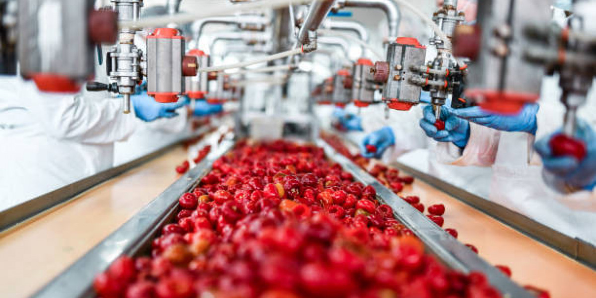 Fruit Concentrate Market Size and Share Analysis, Key Growth Drivers & Future Outlook